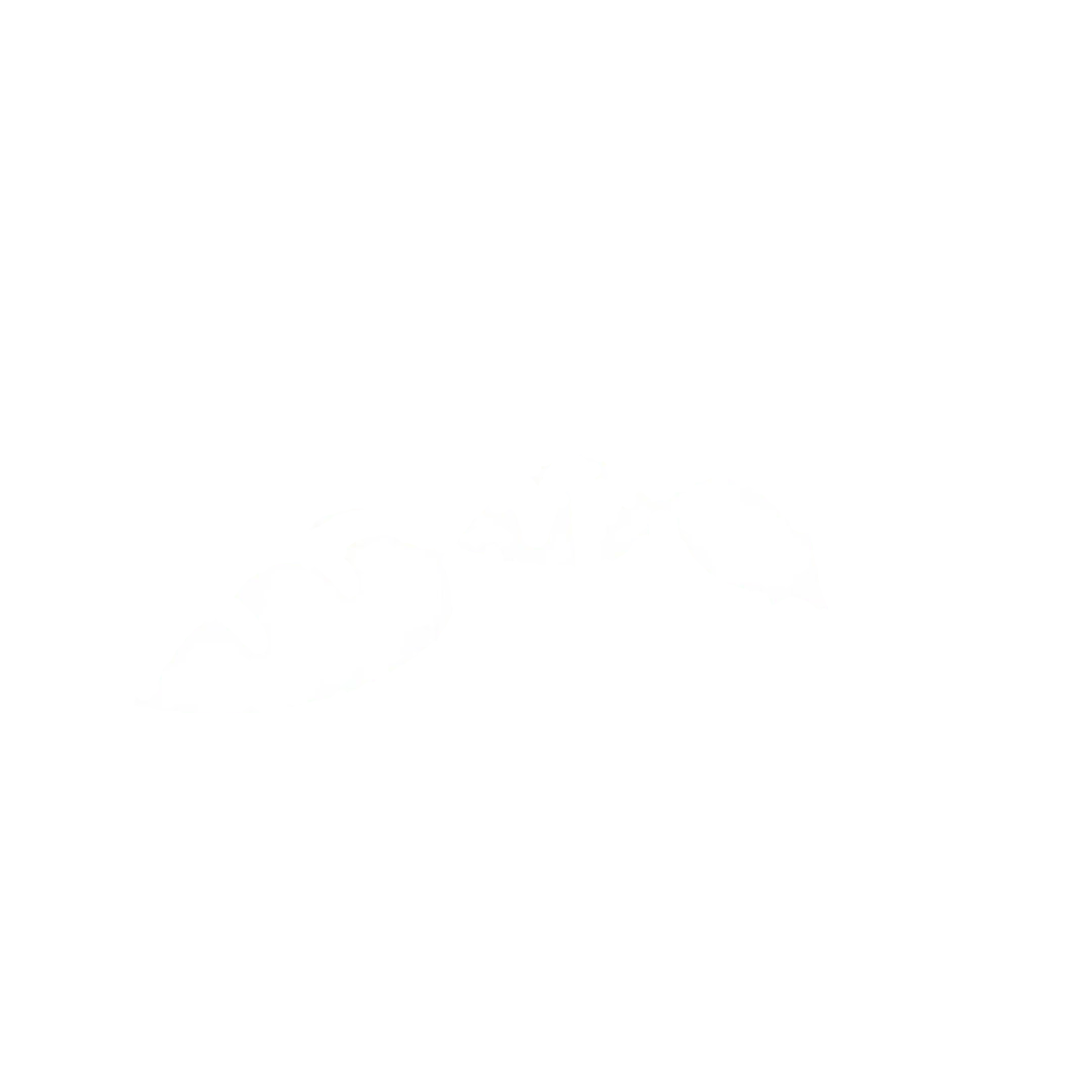 AntMoveFit
